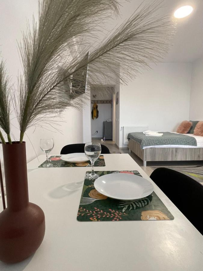 Studio Apartment Palas Mall Iasi Eksteriør billede