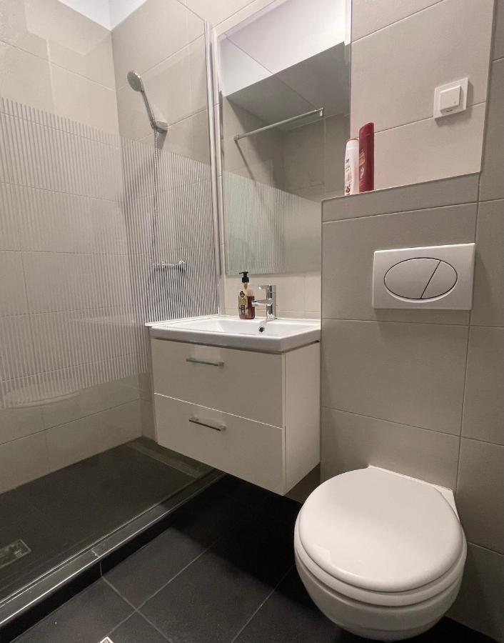 Studio Apartment Palas Mall Iasi Eksteriør billede