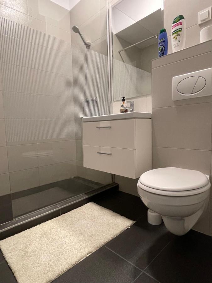 Studio Apartment Palas Mall Iasi Eksteriør billede